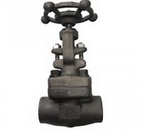 Forged Steel Valve