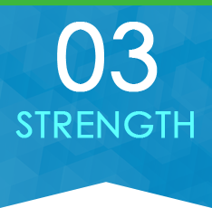 03 STRENGTH