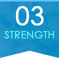 03 STRENGTH